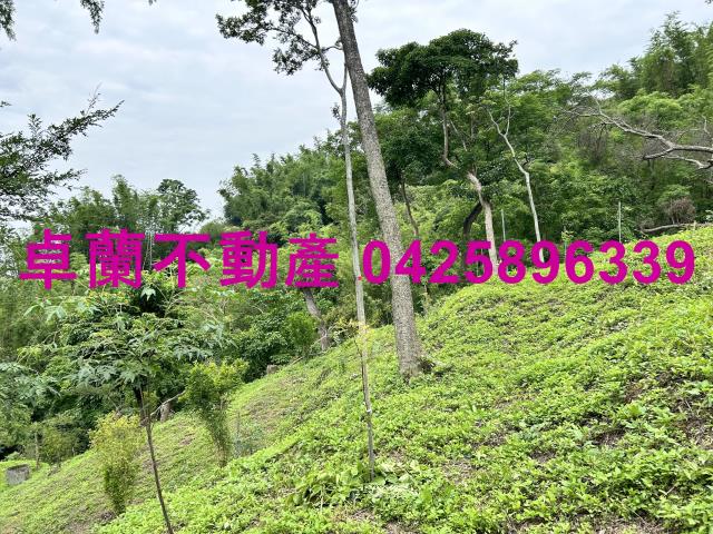 台中東勢建地-2