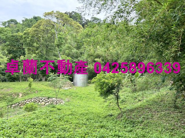 台中東勢建地-3