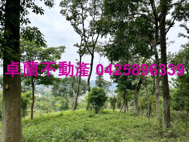 台中東勢建地-4