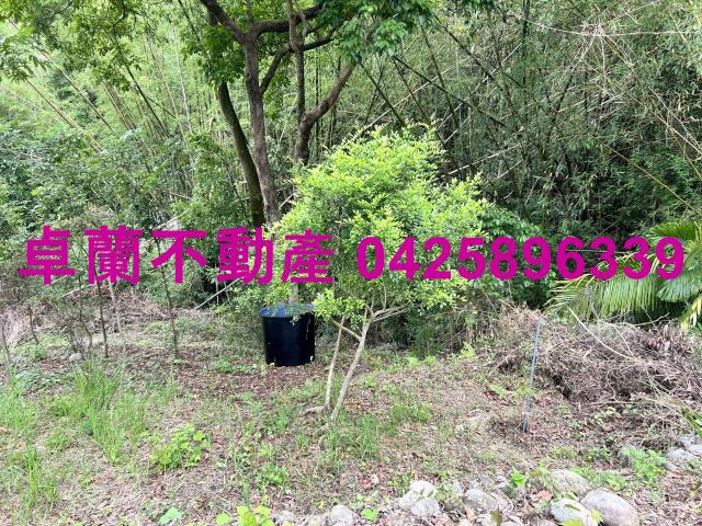 台中東勢建地-7