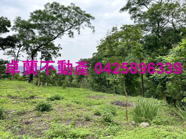 台中東勢建地-8