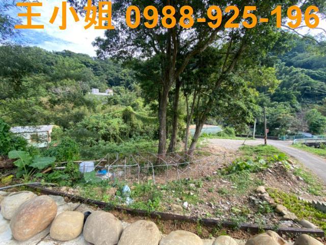 大溪建地-2