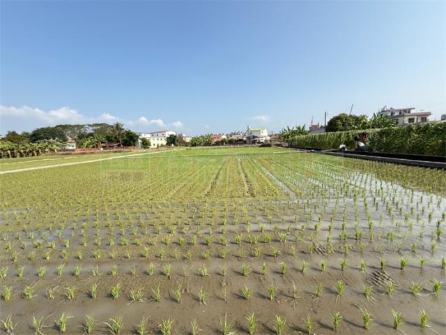 美濃建地-3