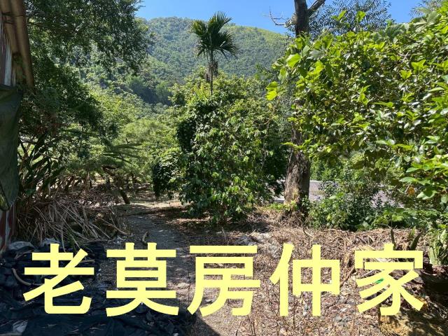 南投仁愛鄉建地-0
