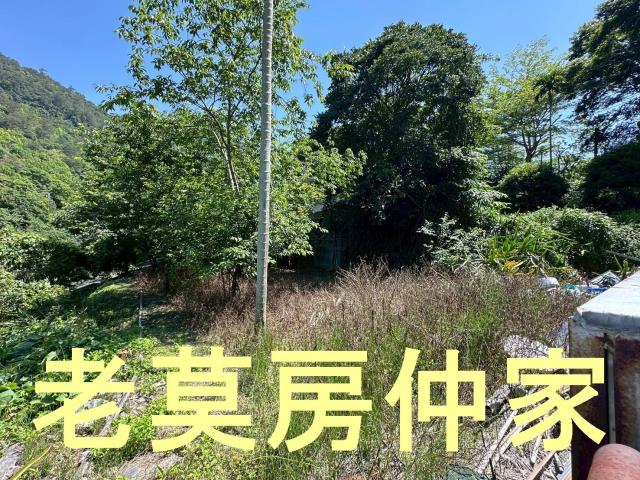 南投仁愛鄉建地-3