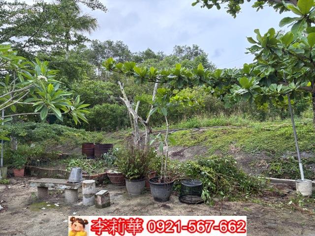 高雄杉林建地-4