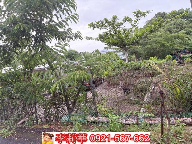 高雄杉林建地-5
