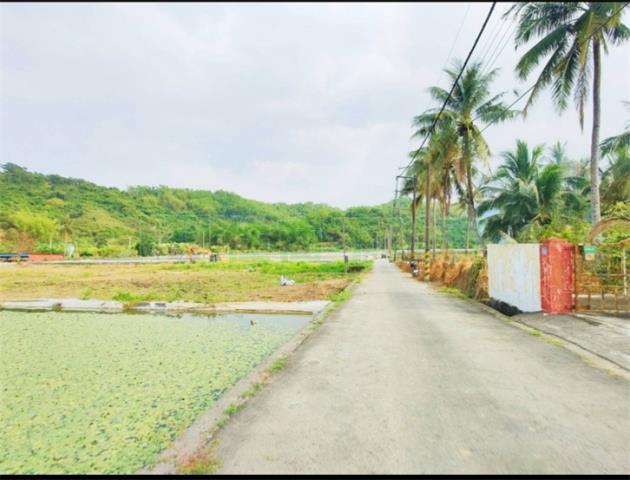 高雄美濃建地-2