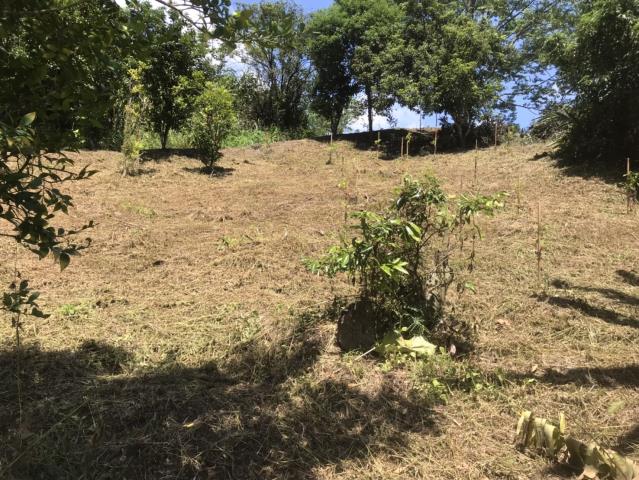 台中霧峰建地-5