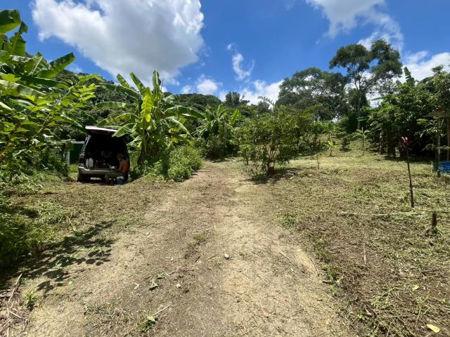 台中霧峰建地-8