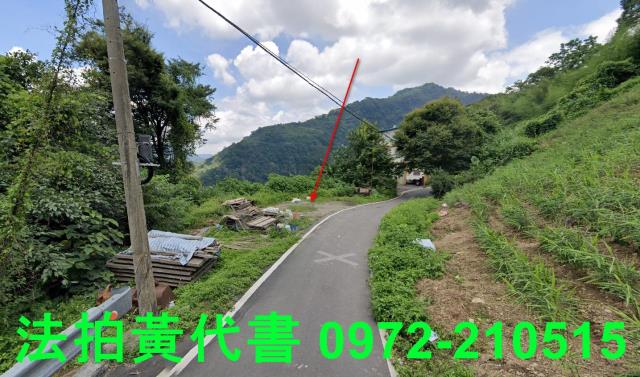 苗栗法拍建地-3