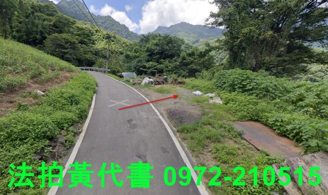 苗栗法拍建地-4