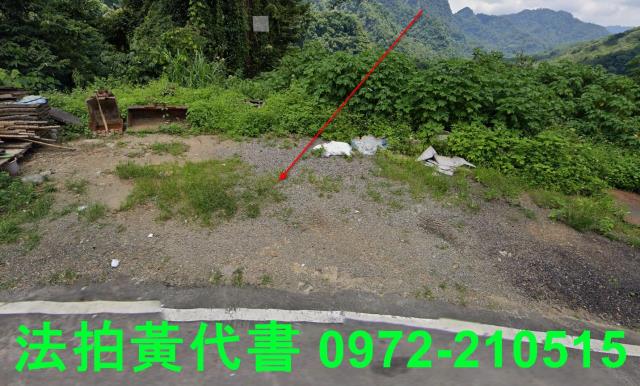 苗栗法拍建地-8