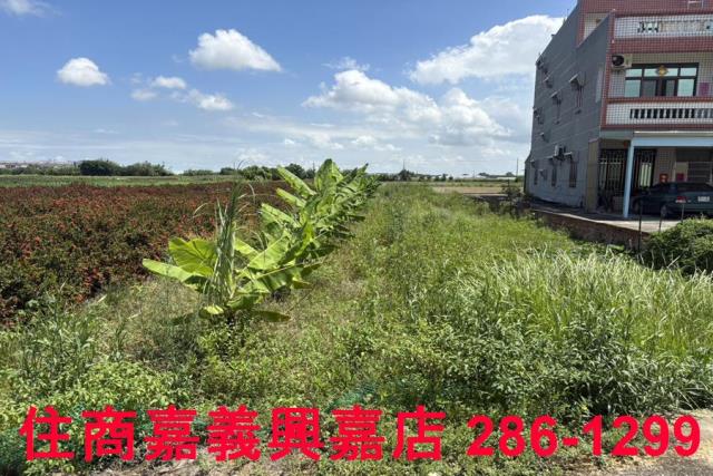 嘉義建地-2