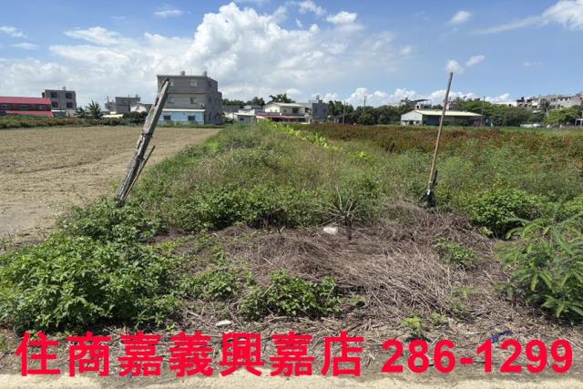 嘉義建地-4