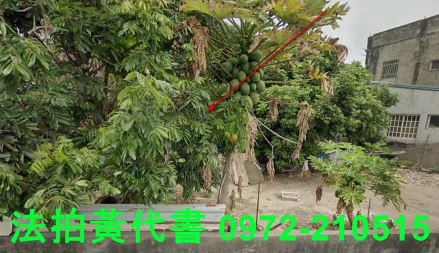 北港法拍建地-11