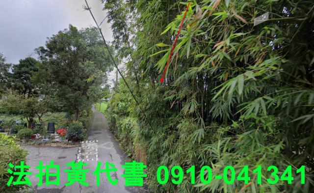 頭城法拍建地-3