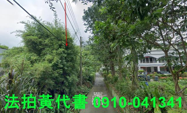 頭城法拍建地-4