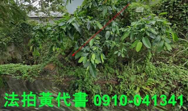 頭城法拍建地-8