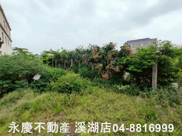 彰化建地-5