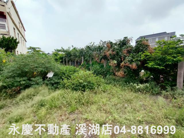 彰化建地-7