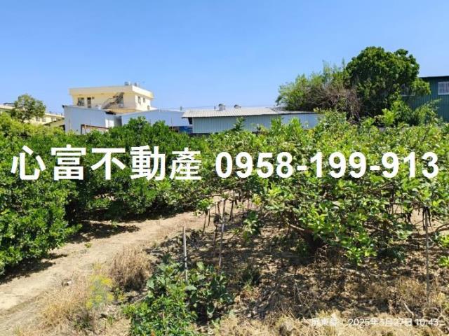 竹田建地-1