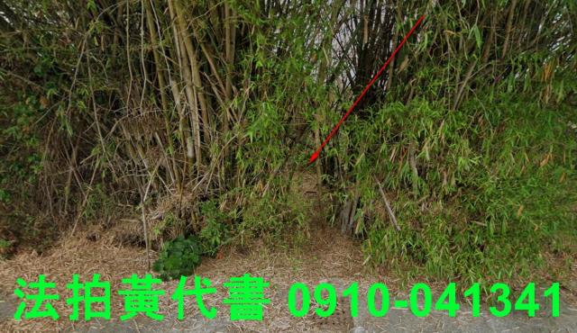 嘉義溪口建地法拍-8