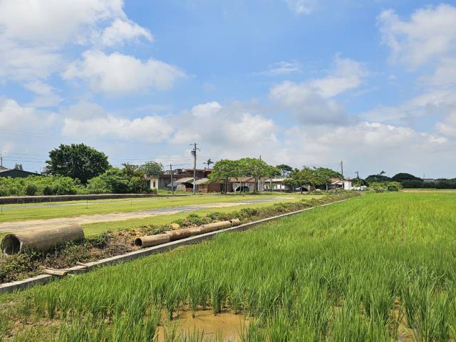 桃園觀音建地-0