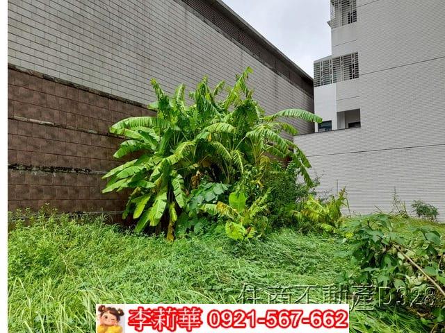 北區建地-5