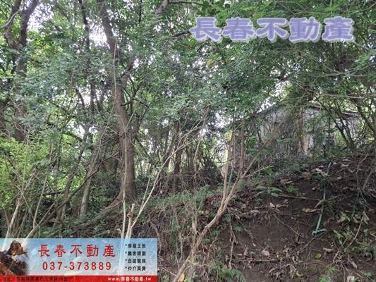 苗栗頭屋建地-1