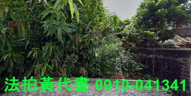 高雄建地法拍-9