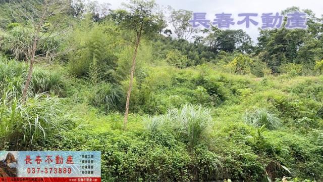 苗栗獅潭建地-0
