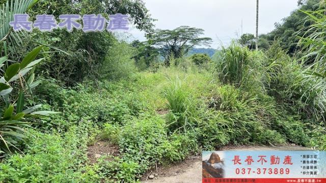 苗栗獅潭建地-1
