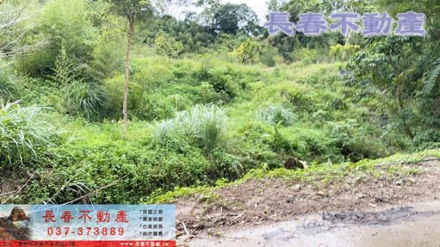 苗栗獅潭建地-2
