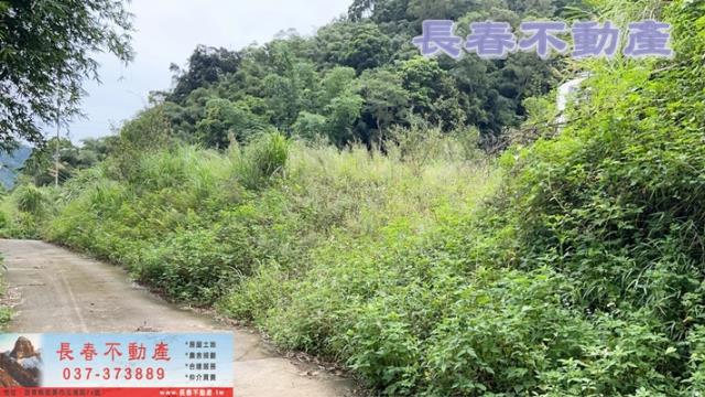 苗栗獅潭建地-4