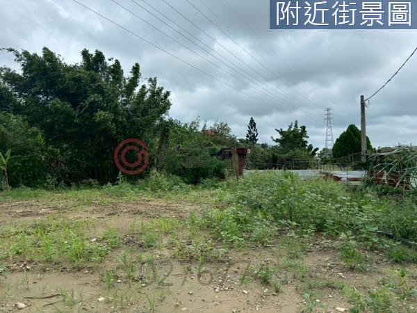 台南新化建地-2