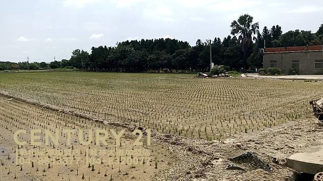 彰化埔鹽建地-1