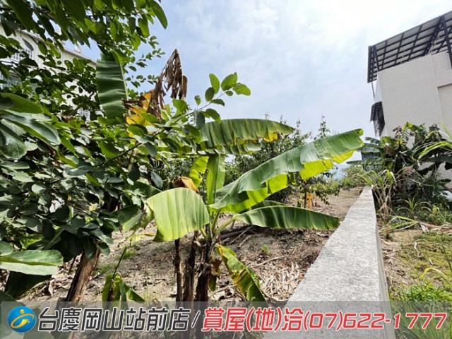 高雄阿蓮建地-7