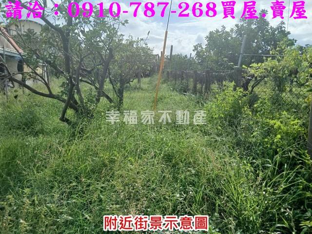 台南麻豆建地-6
