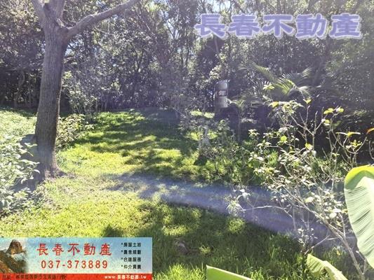 苗栗造橋建地-9