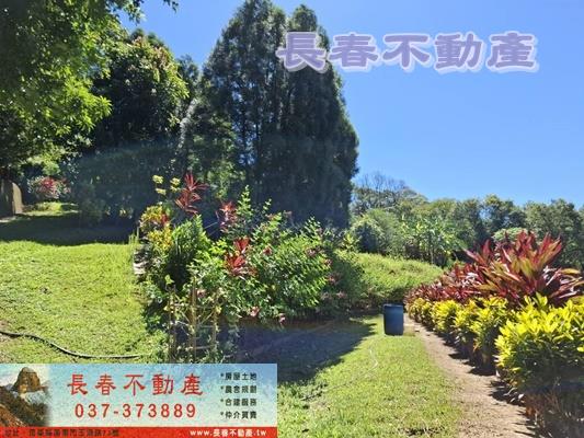 苗栗造橋建地-11