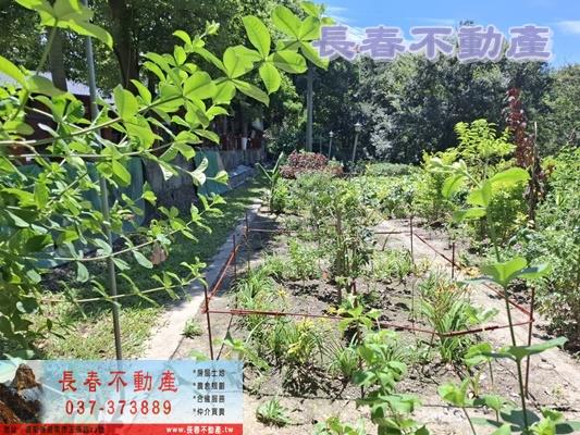 苗栗造橋建地-12