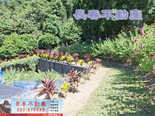 苗栗造橋建地-6