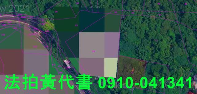 士林建地法拍-2