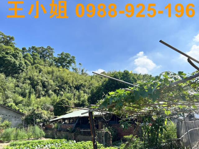 蘆竹建地-10