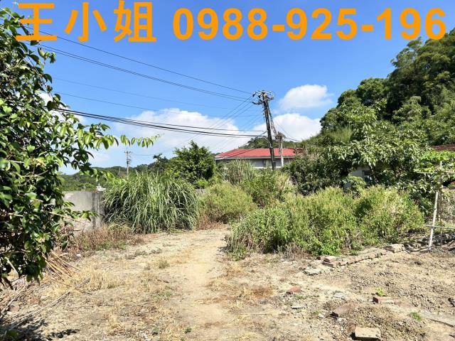 蘆竹建地-11