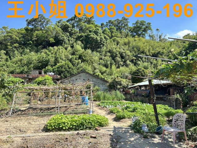 蘆竹建地-14