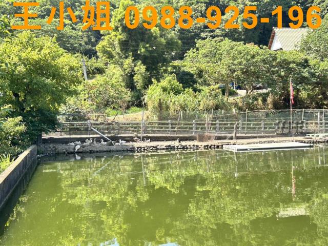 蘆竹建地-3