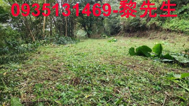 新竹橫山建地-12