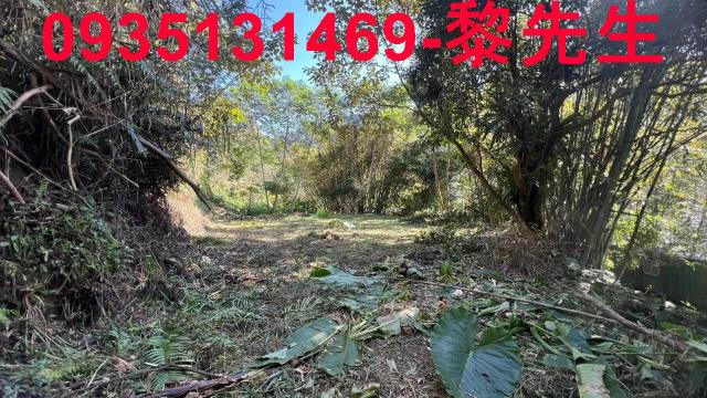 新竹橫山建地-4